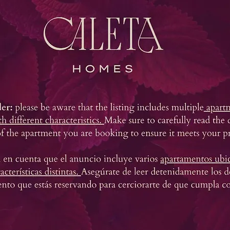 Marques De Velazquez Ii By Caleta Homes 马拉加